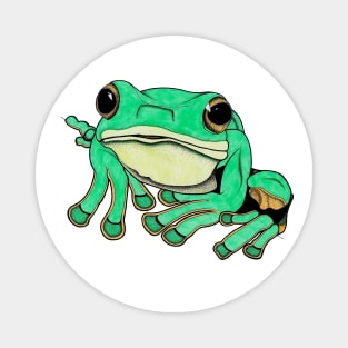 Green tree frog illustration Magnet